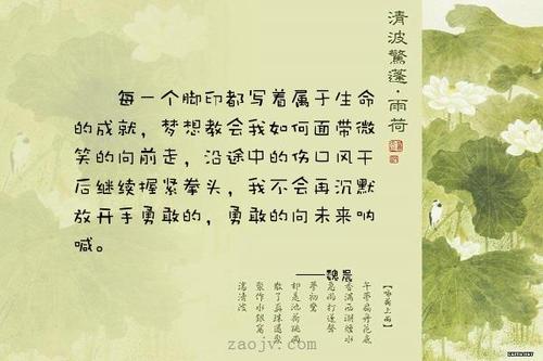 关于理想的美丽句子