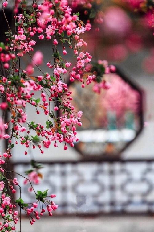 夏日田园诗般的味道