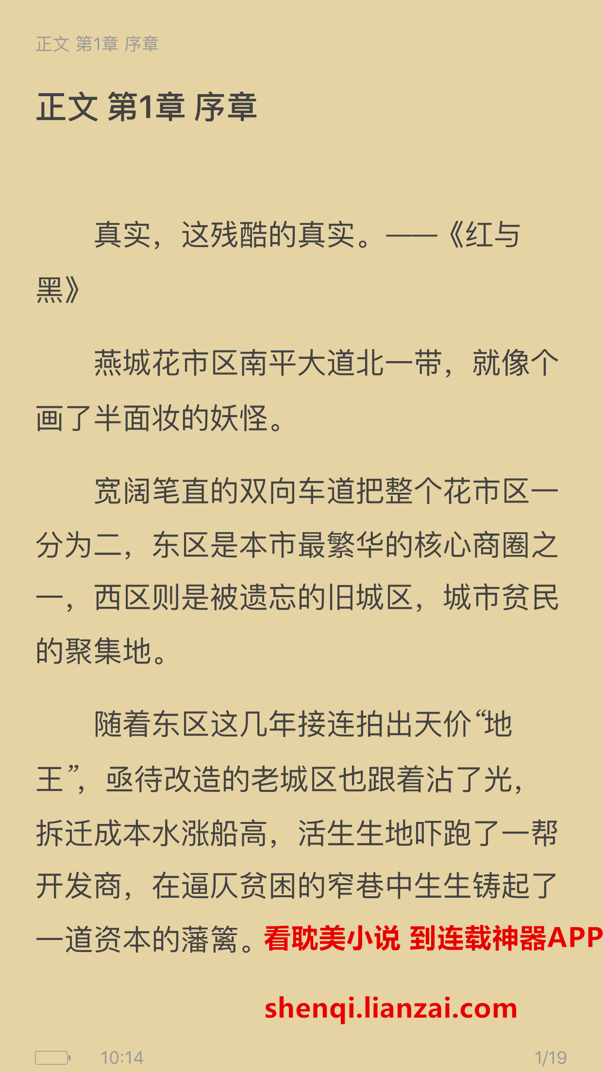 谭梅小说中的经典句子