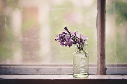 薛晓蝉:快乐稳定