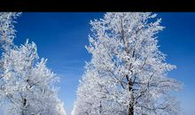 2013年颇有深度的十九句话