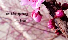 忽如一夜春风来全诗