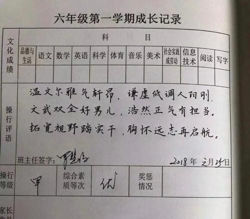 六年级班主任对学生的评论