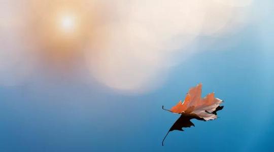 对于生活不尽人意的人：生活的痛苦只是片刻的时刻