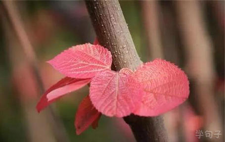 一个人的生活没有很多事情的答案。 1个