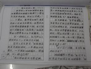 高中每周日记300字