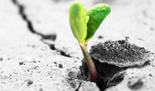 生活需要挫折500字