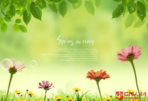 关于春天的美丽陈述