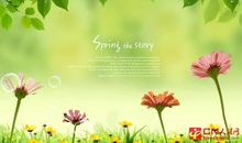 有关春天的优美语句