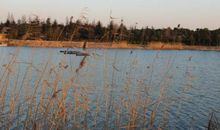 林萧：那一湾湖水