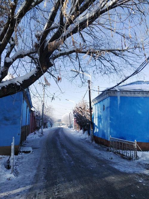 我去过这个世界