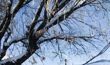 这个世界我来过