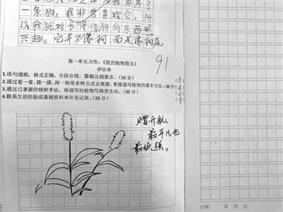 高中班级老师给学生的精选评论