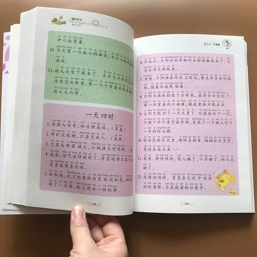 四年级的好单词和句子