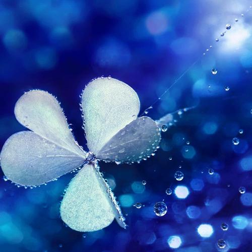 归零开始另一种美好的生活