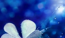 归零——开启另一段精彩人生