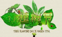 2016植树节广告词