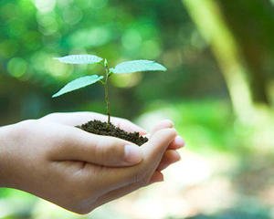 高考纪念馆：生活就像一张单程票，无需排练