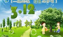 312植树节公益广告语大全【2016最新】