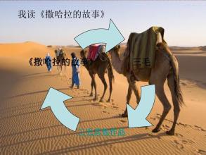 读《撒哈拉的故事》后的沙漠感