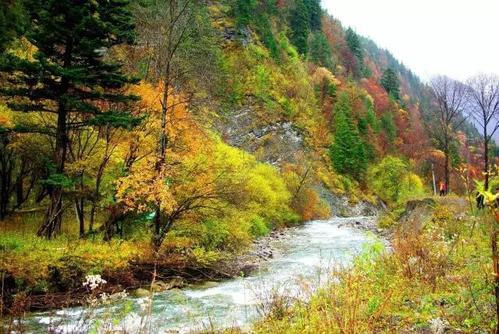 好运来自小事，灾难来自许多人的心