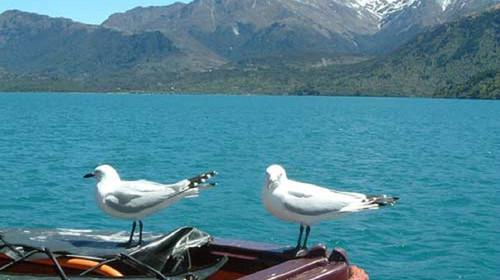 形容湖水的成语