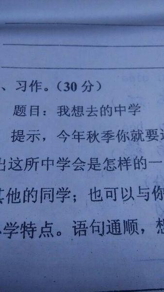 意外骨折的成分