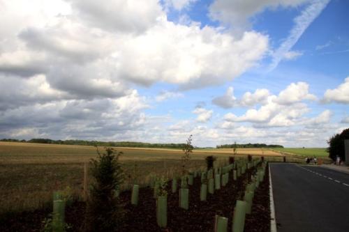 耿林芒：旷野无边