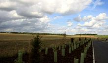 耿林莽：旷野无边