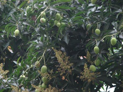 如果这样做，您将知道结果