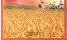 耿林莽：迷途三章