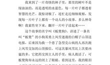 读意林有感400字