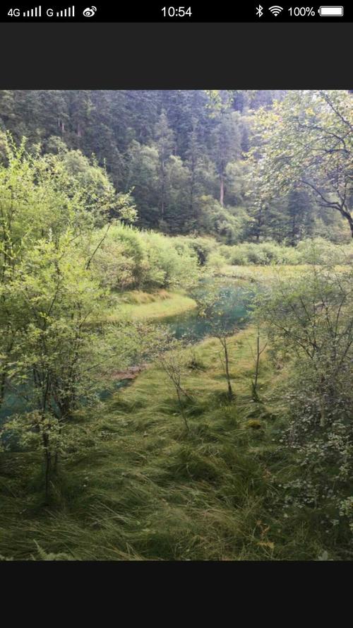 张承志:草药和杂草