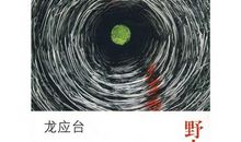 龙应台《野火集》读后感