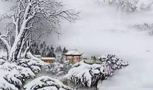 描写雪的古诗有哪些