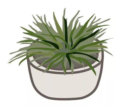 耿林芒：“梦想语言”