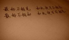 世界上最优美的语言