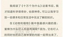 十万个为什么读后感400字