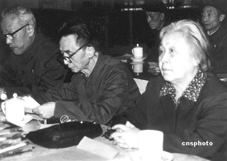 丁玲：彭德怀的素描