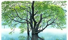 每棵大树都曾是种子，但不是每粒种子都能长成大树