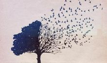 能读懂这些， 都是有故事的人