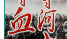 《一寸河山一寸血》读后感