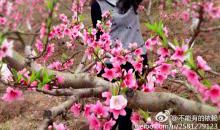 假如你被残酷的命运选中，你会怎么样？