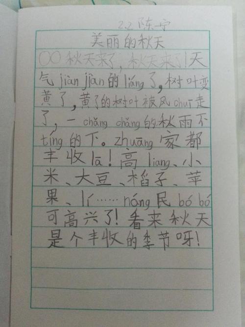 四年级每周日记