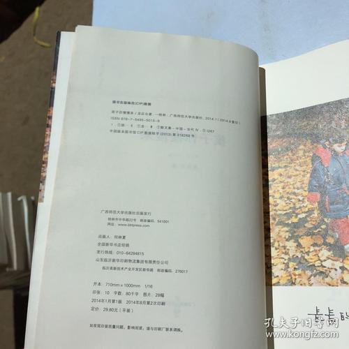 龙应台：正在寻找幼儿园