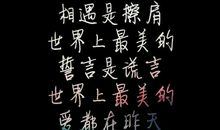 世界上最美的话语