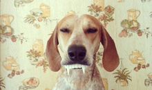 凡是你排斥的，就是你所要学习的