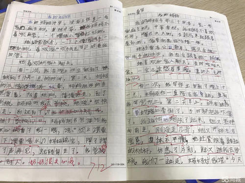 500字作文摘录