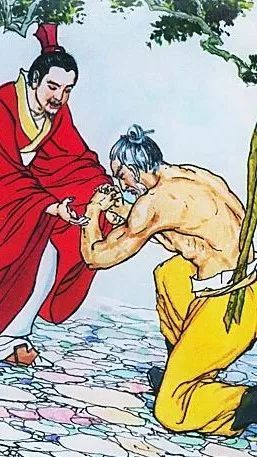 杀死沙丁鱼的是惯性