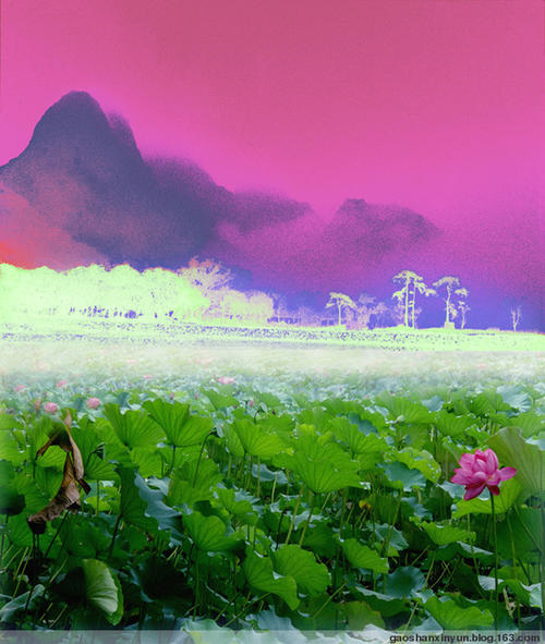 关于阅读《荷塘月色》的思考